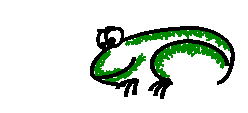 Picture of a frog