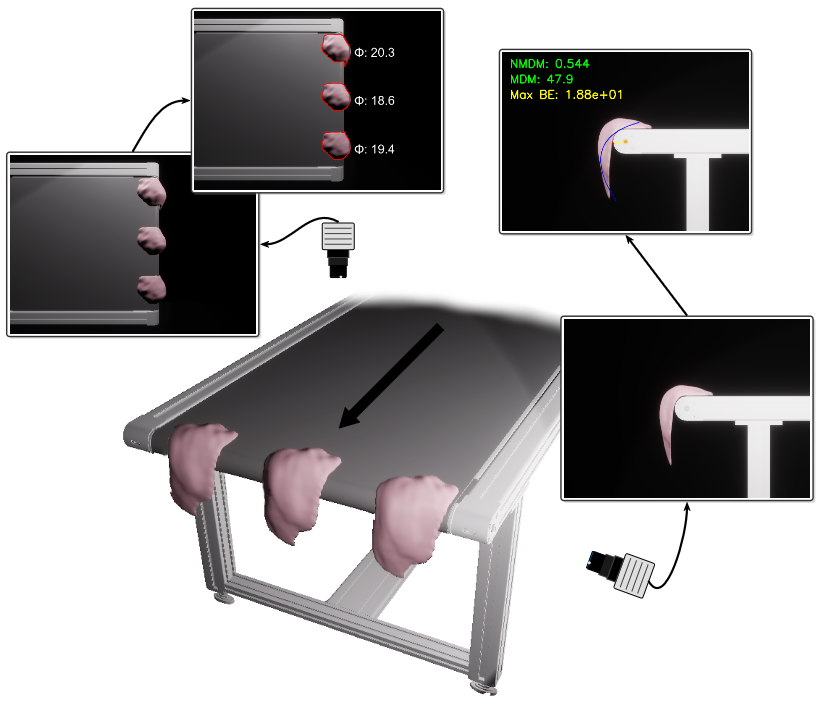 Simulation-Based Multi-Fillet Evaluation of Woody Breast Poultry Fillets